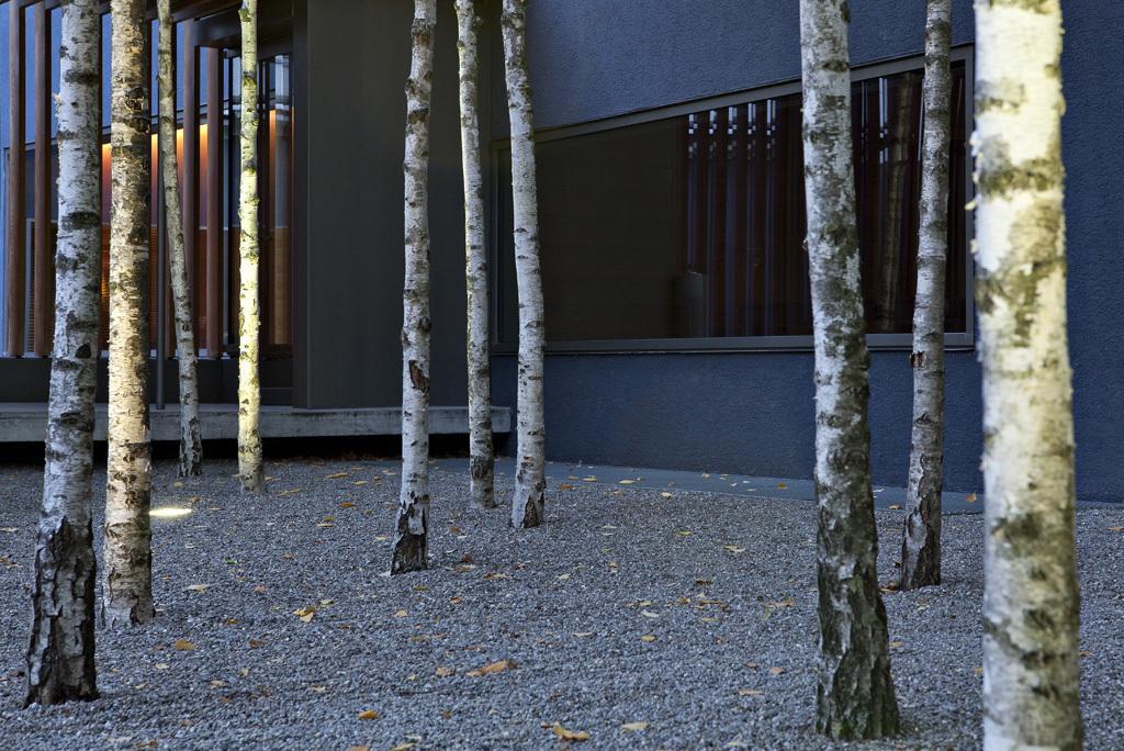 Greulich Design & Boutique Hotel Цюрих Екстер'єр фото